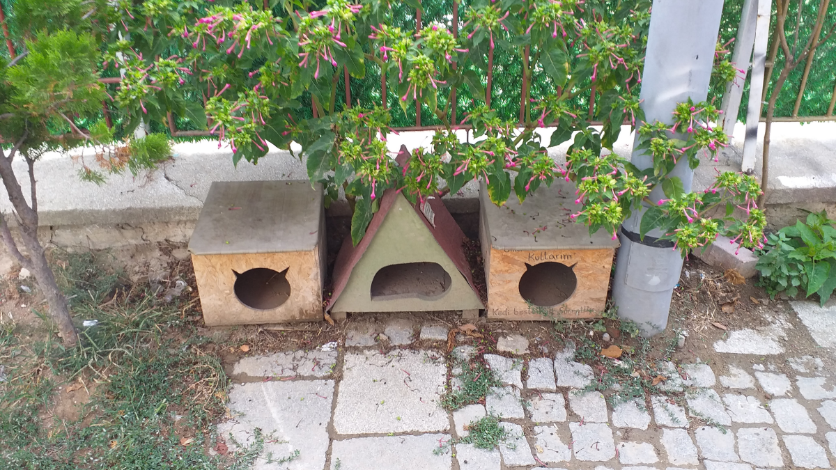 A small shelter and feeding station for stray cats on a street in Istanbul